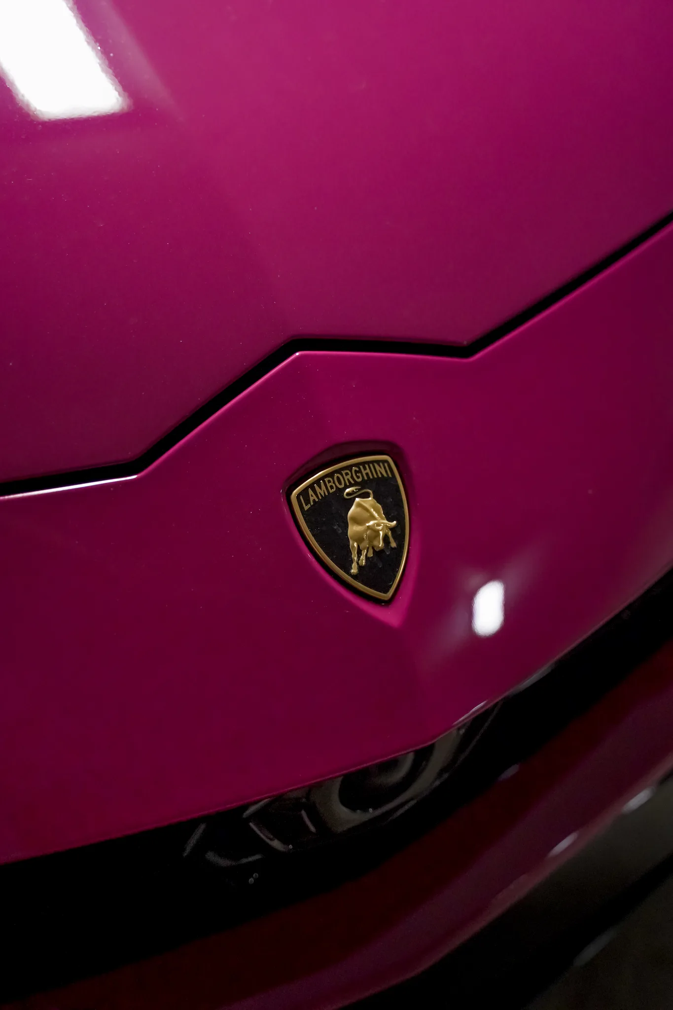 Rubystar Pink Lamborghini Urus additional angle — one of a kind luxury rental