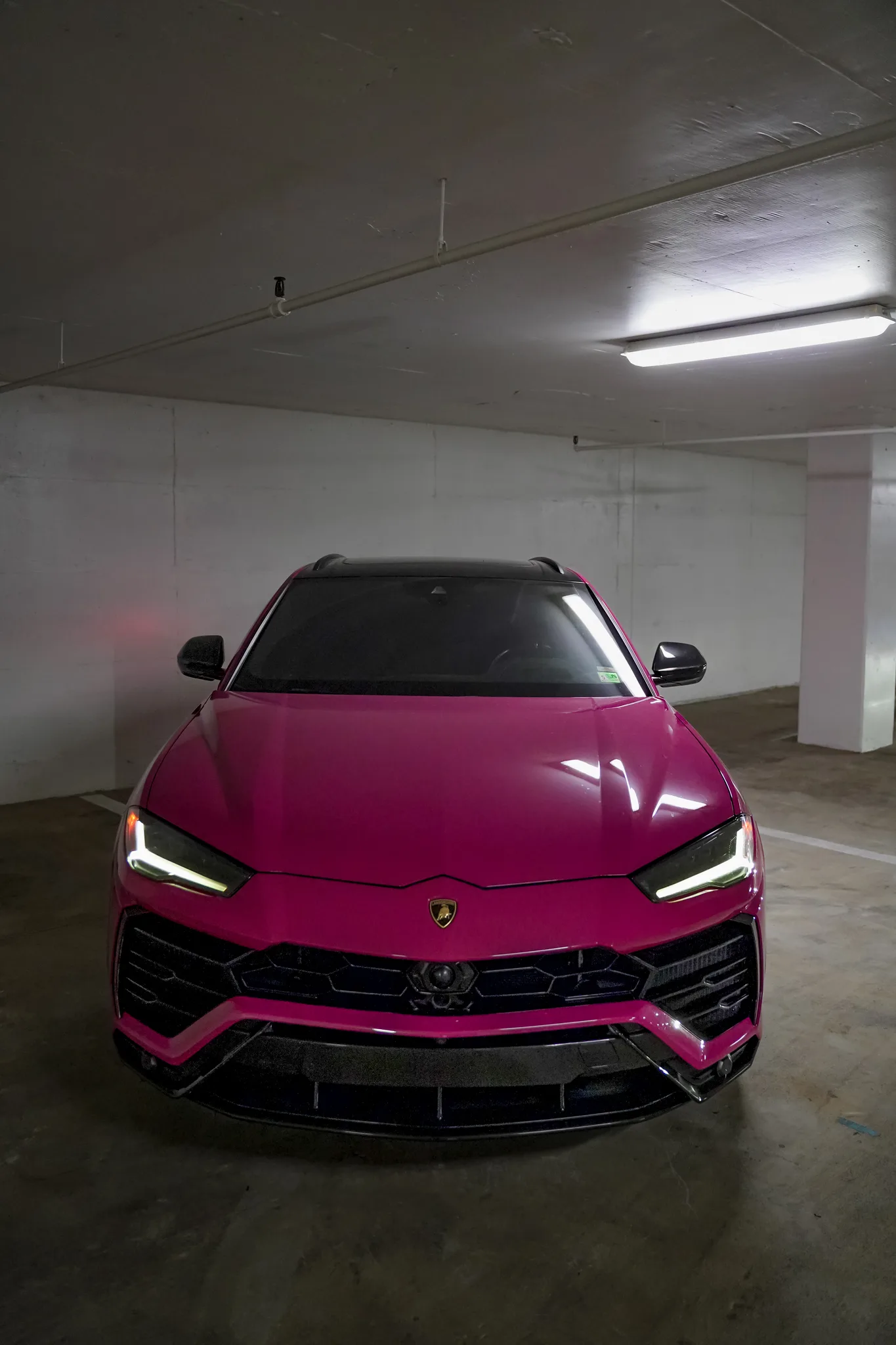 Rubystar Pink Lamborghini Urus side profile — 641 hp exotic SUV rental