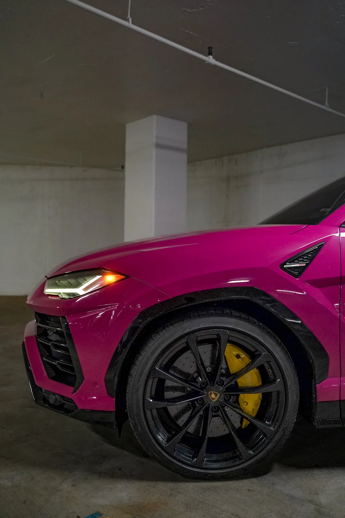 Rubystar Pink Lamborghini Urus rear view — rare color exotic SUV in the DMV